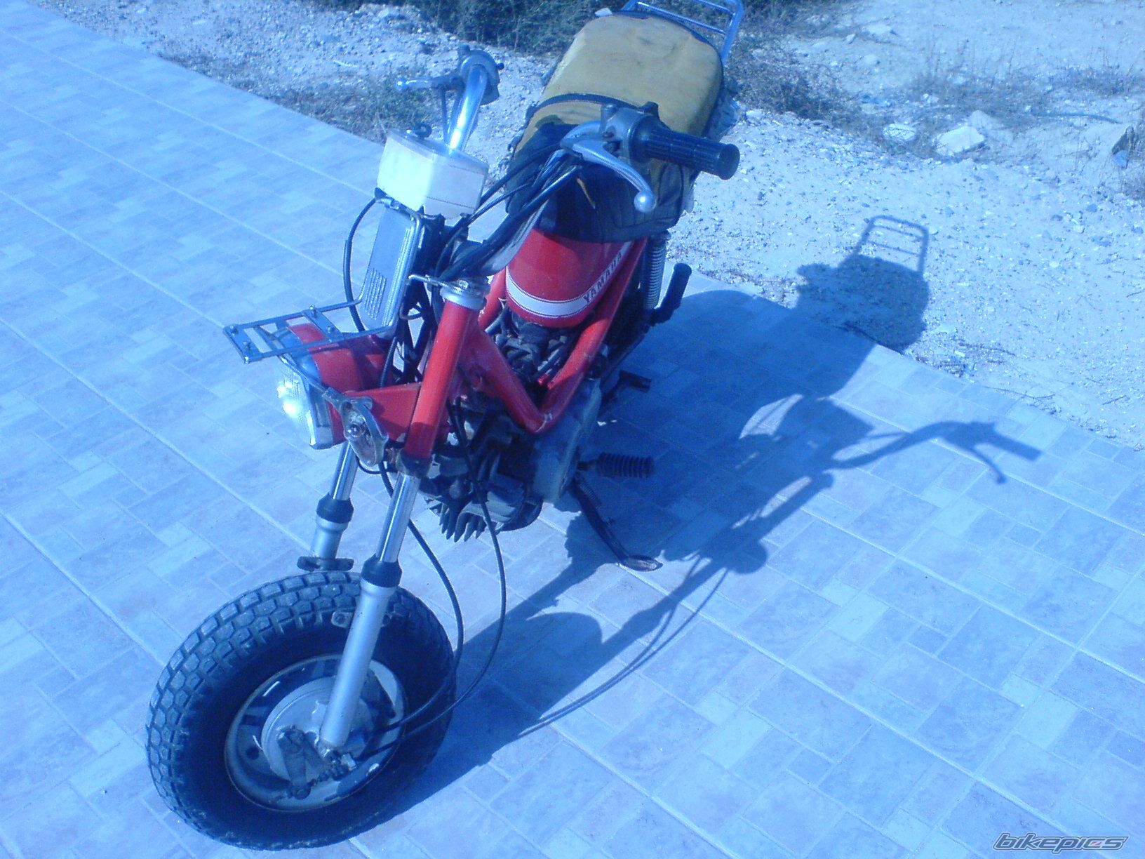 Photo 1461769