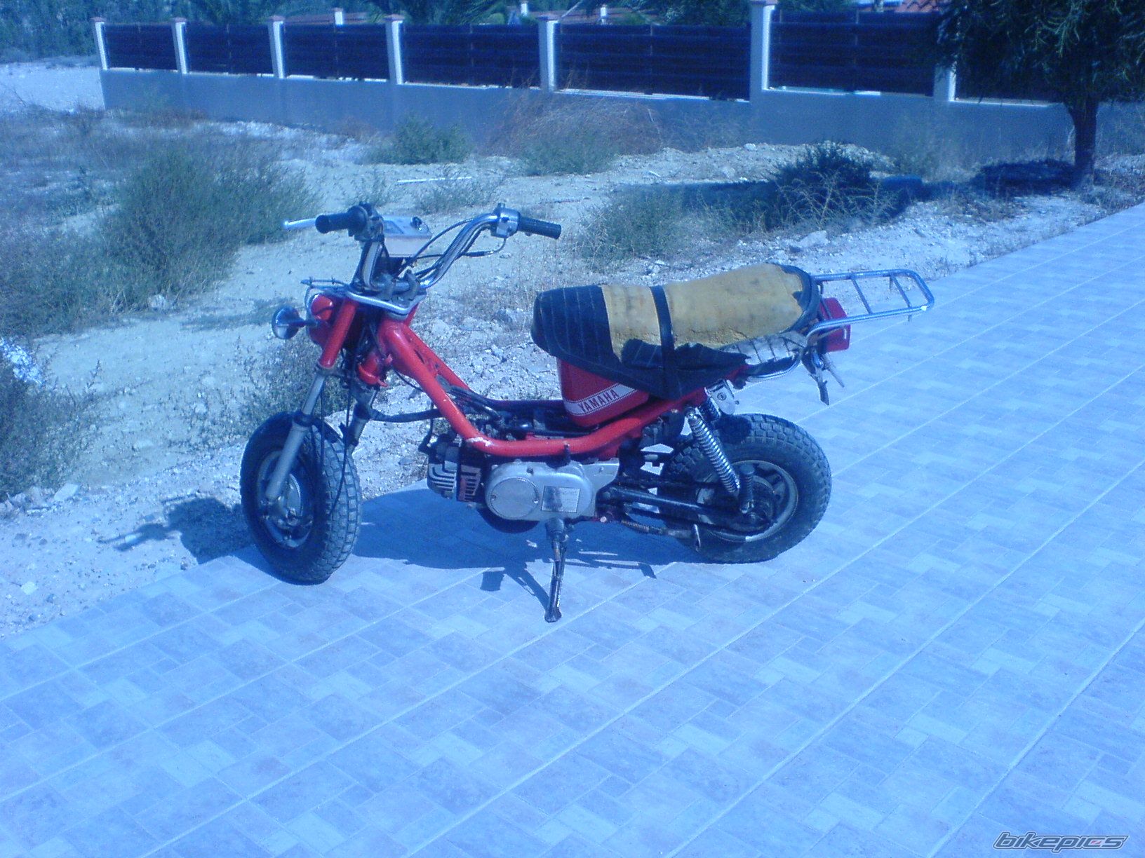Photo 1461770
