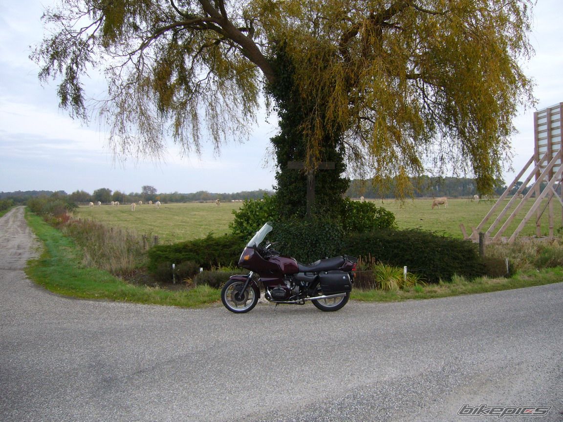 Photo 1461795