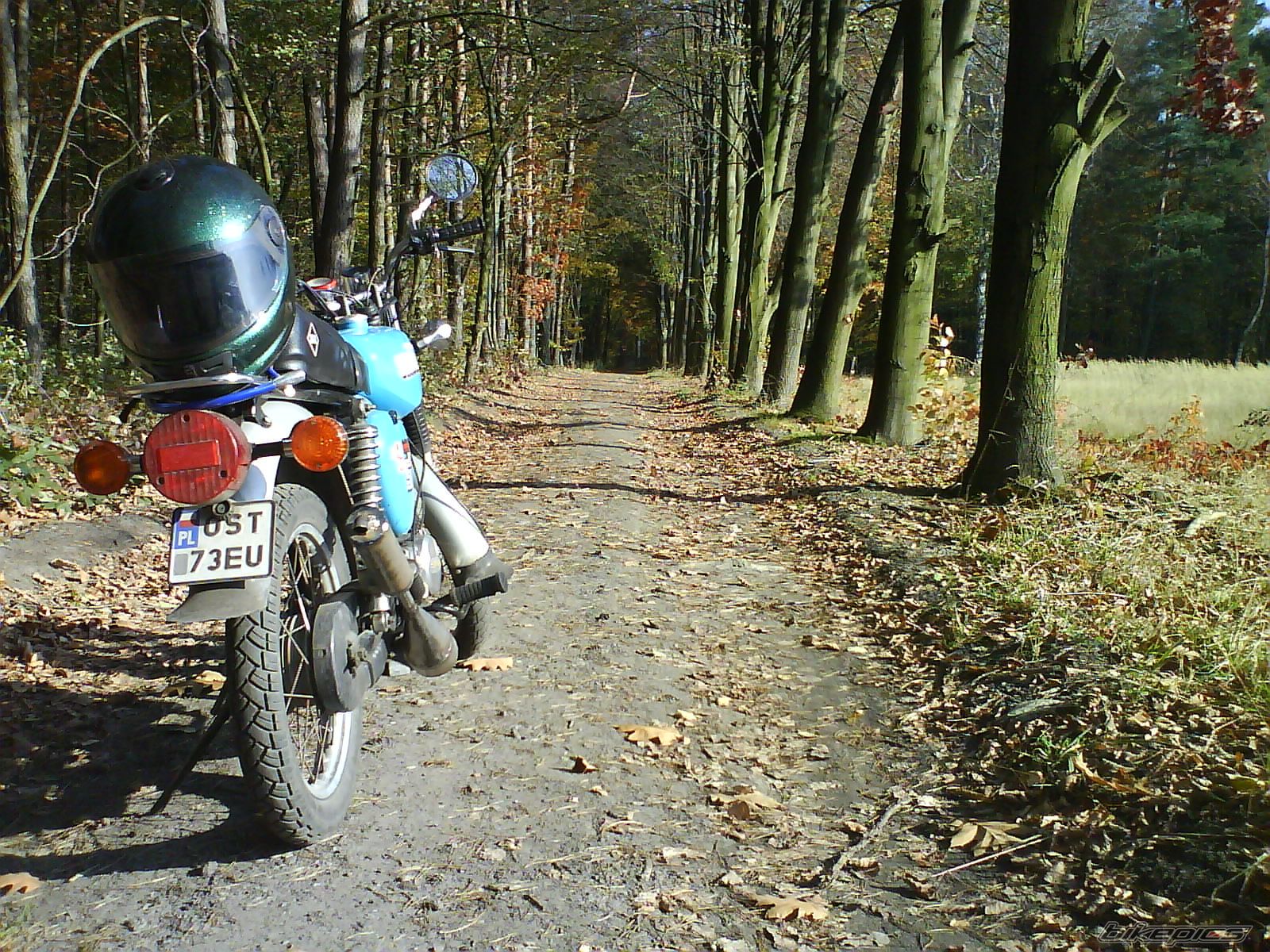 Photo 1461799