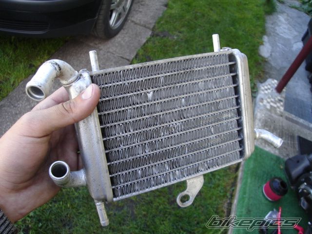 Photo 1461826