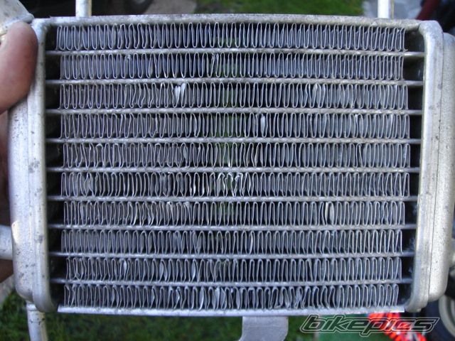 Photo 1461828