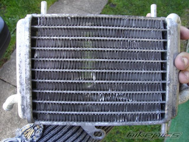 Photo 1461830