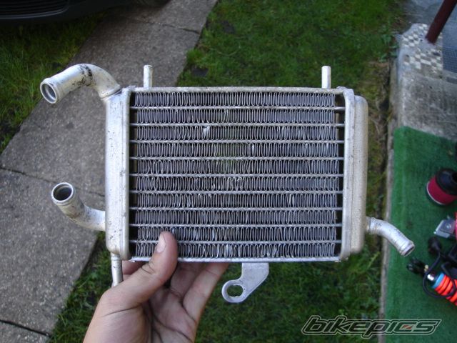 Photo 1461832
