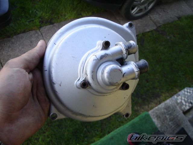 Photo 1461833