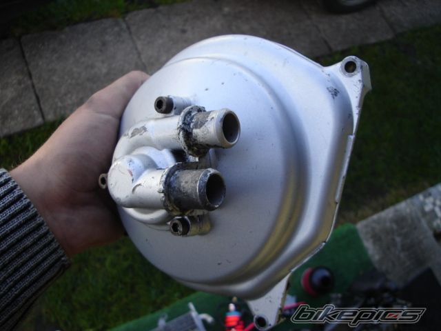 Photo 1461835