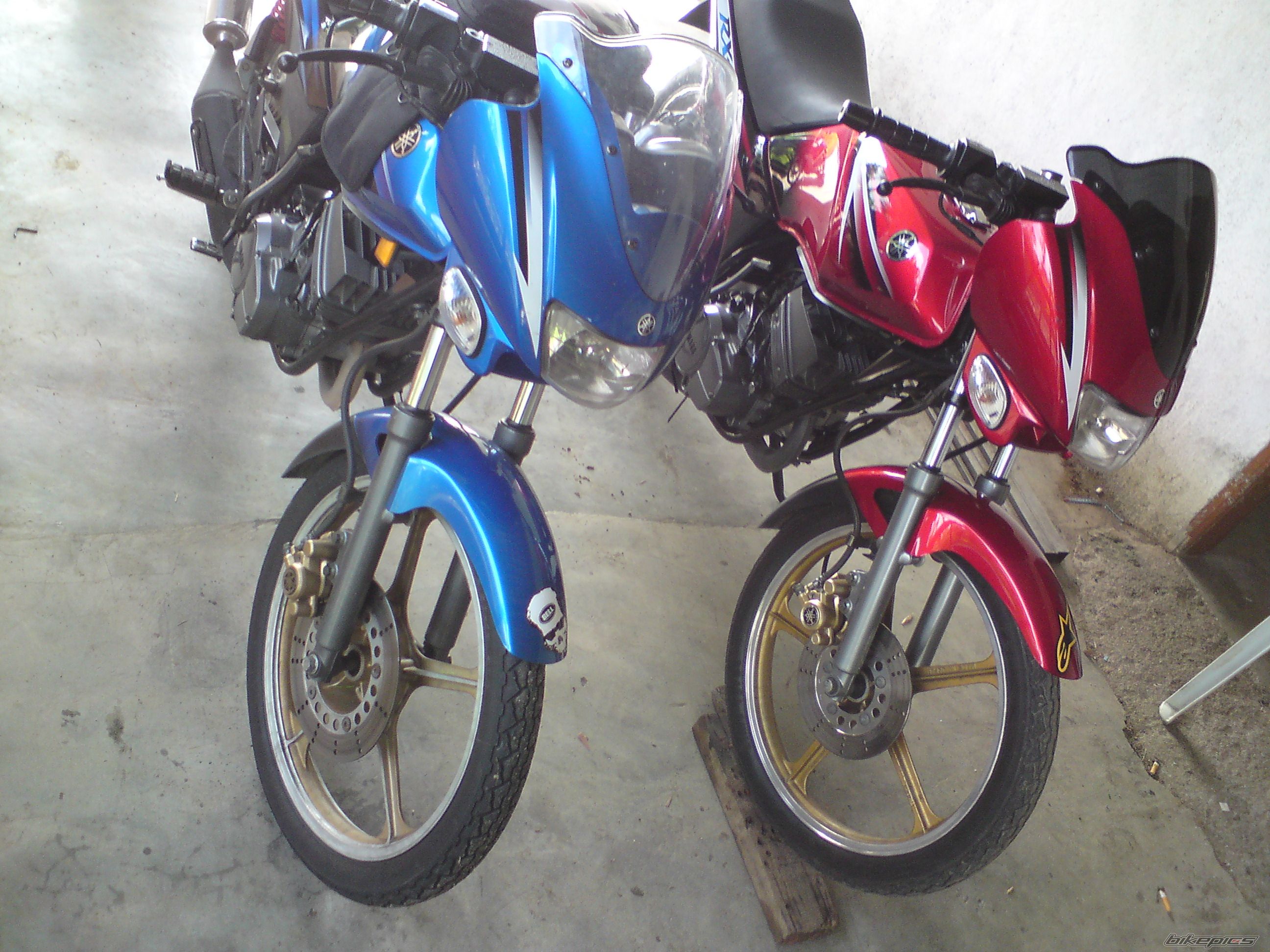 Photo 1461847