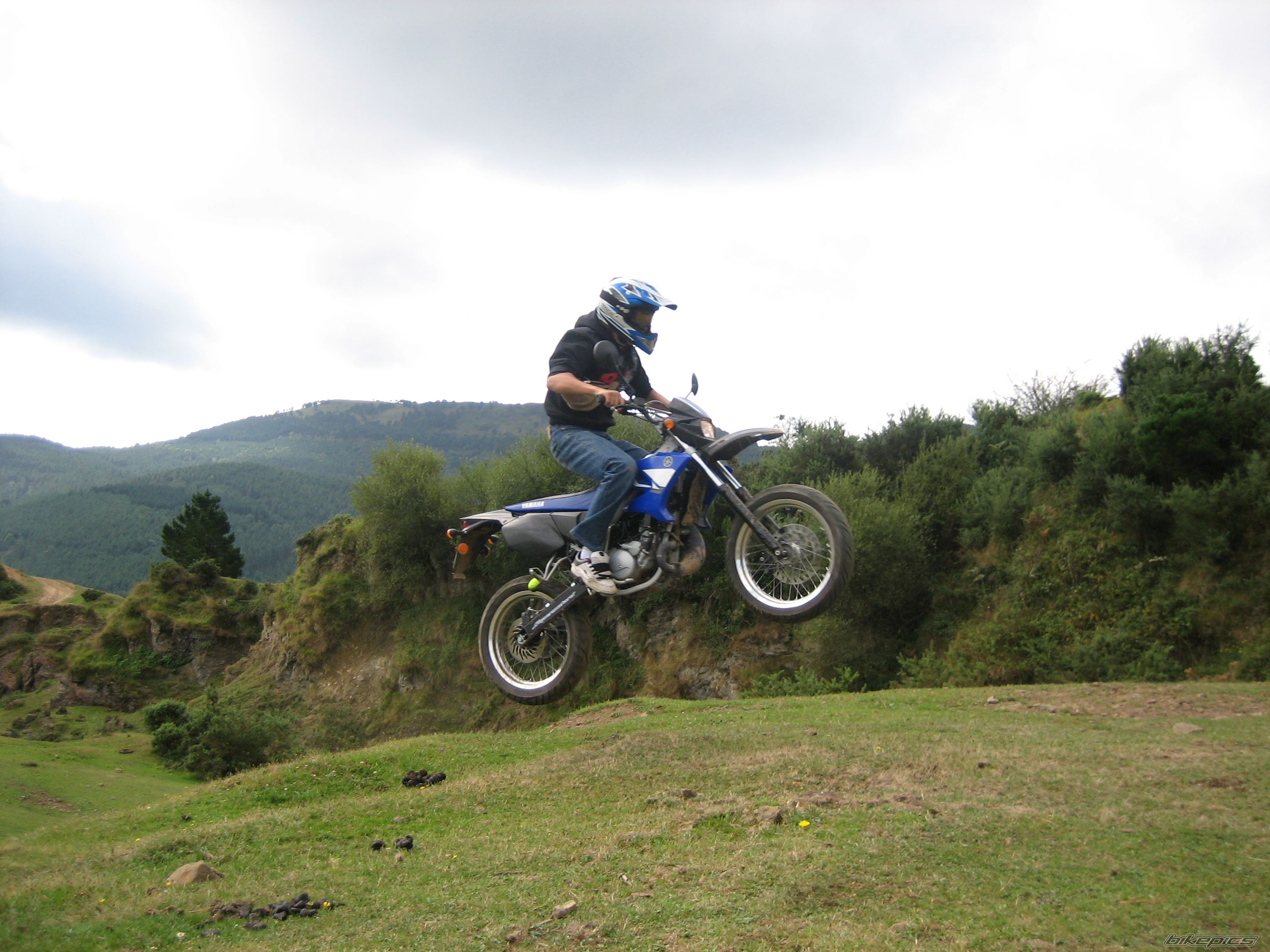 Photo 1462035