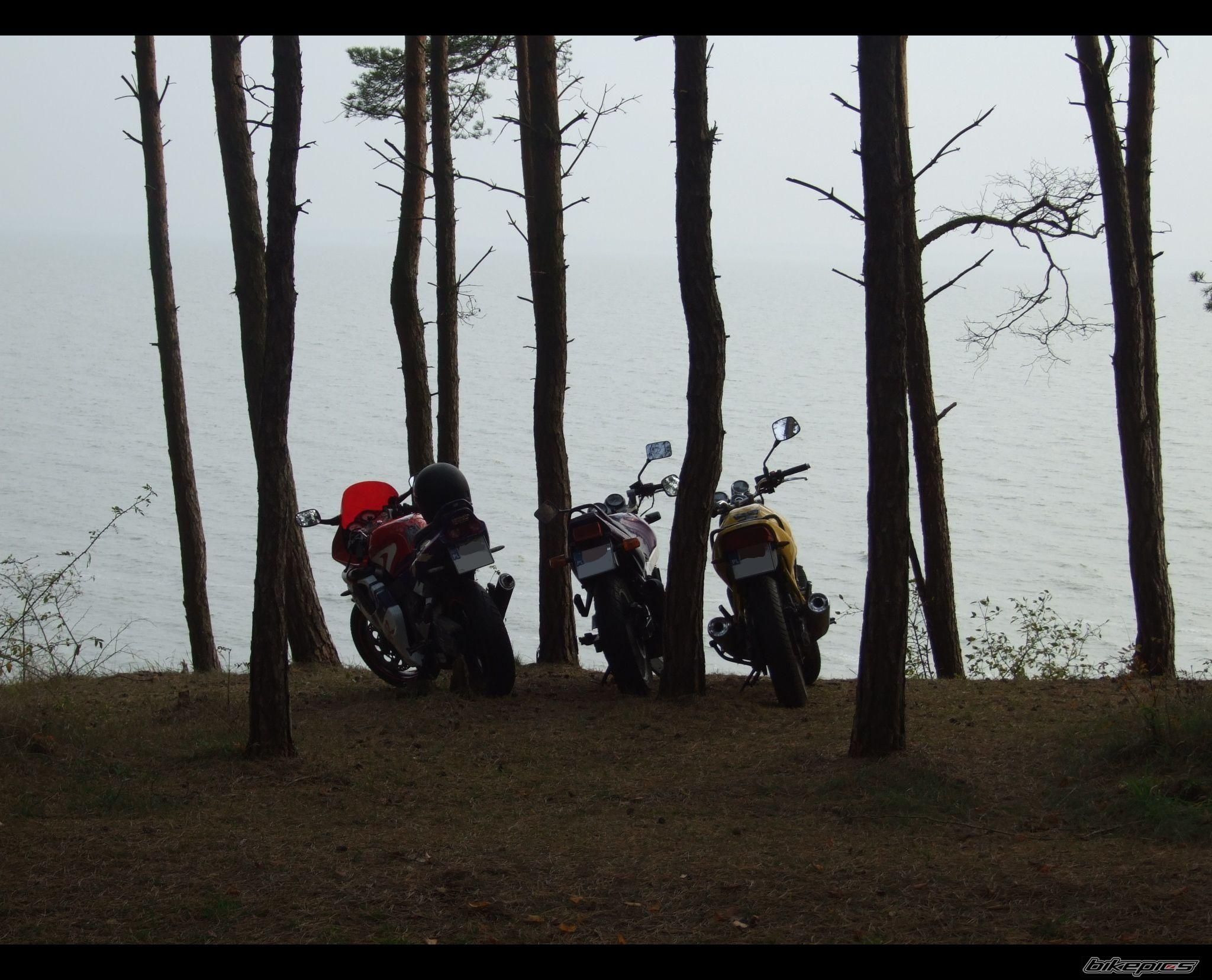 Photo 1462085