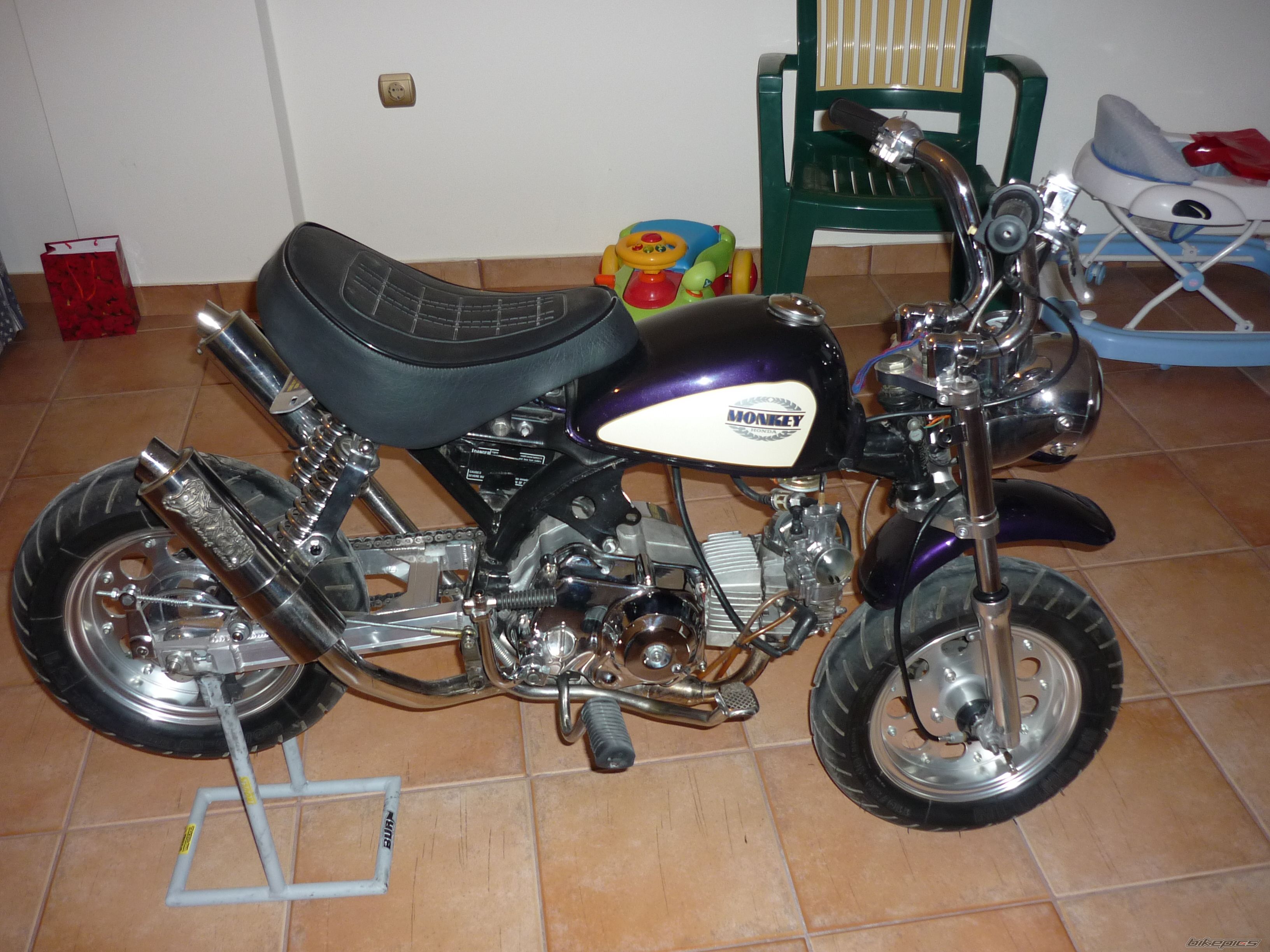 Photo 1462129