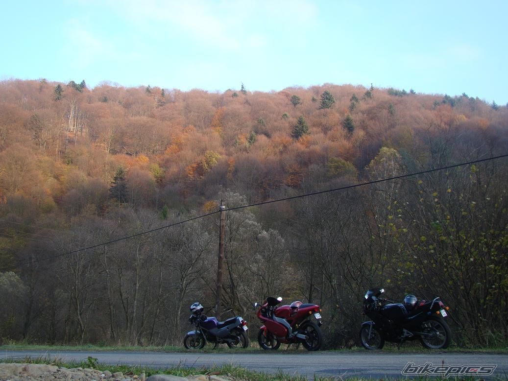 Bike Photo 1462208
