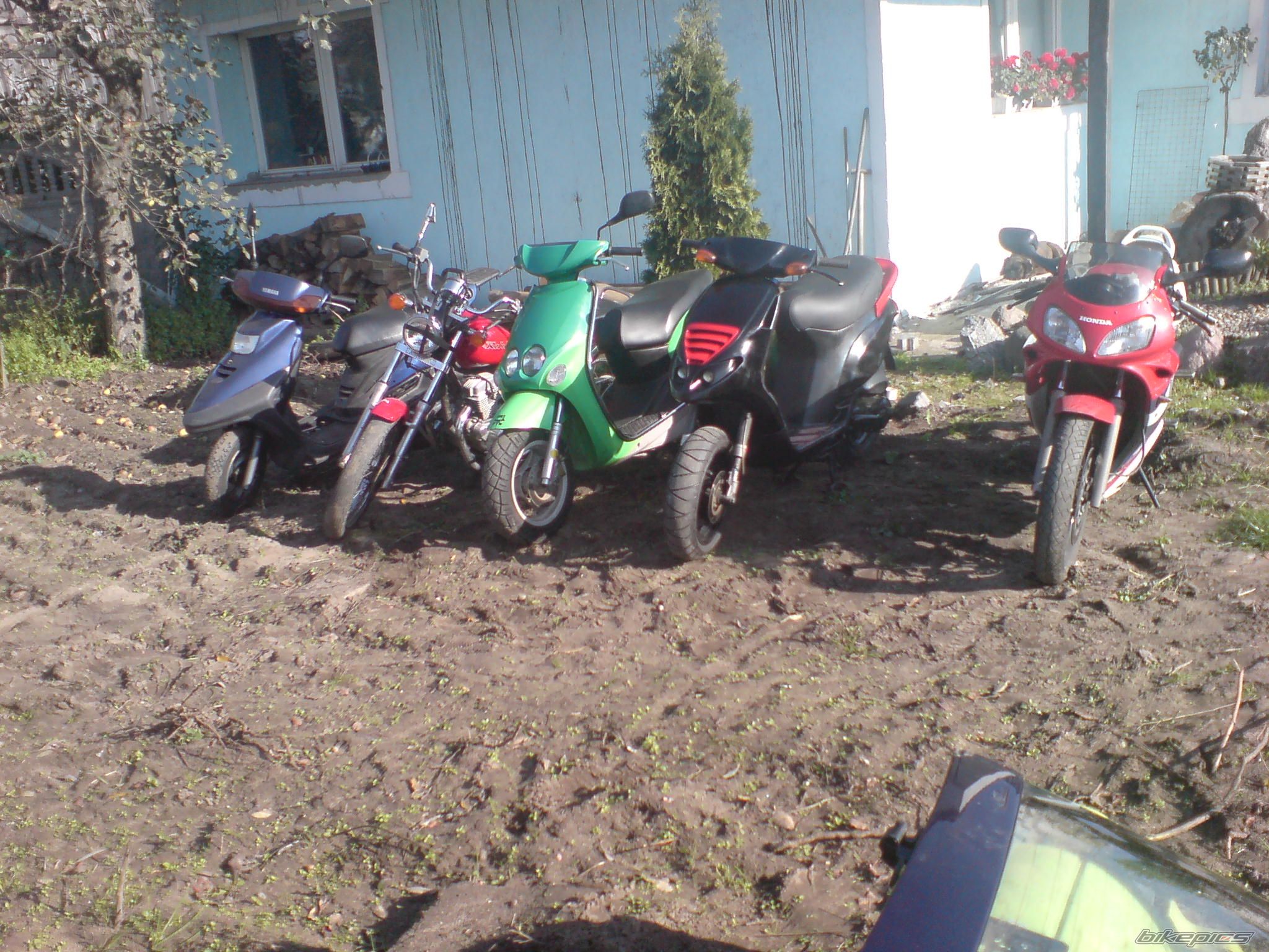 Photo 1462209