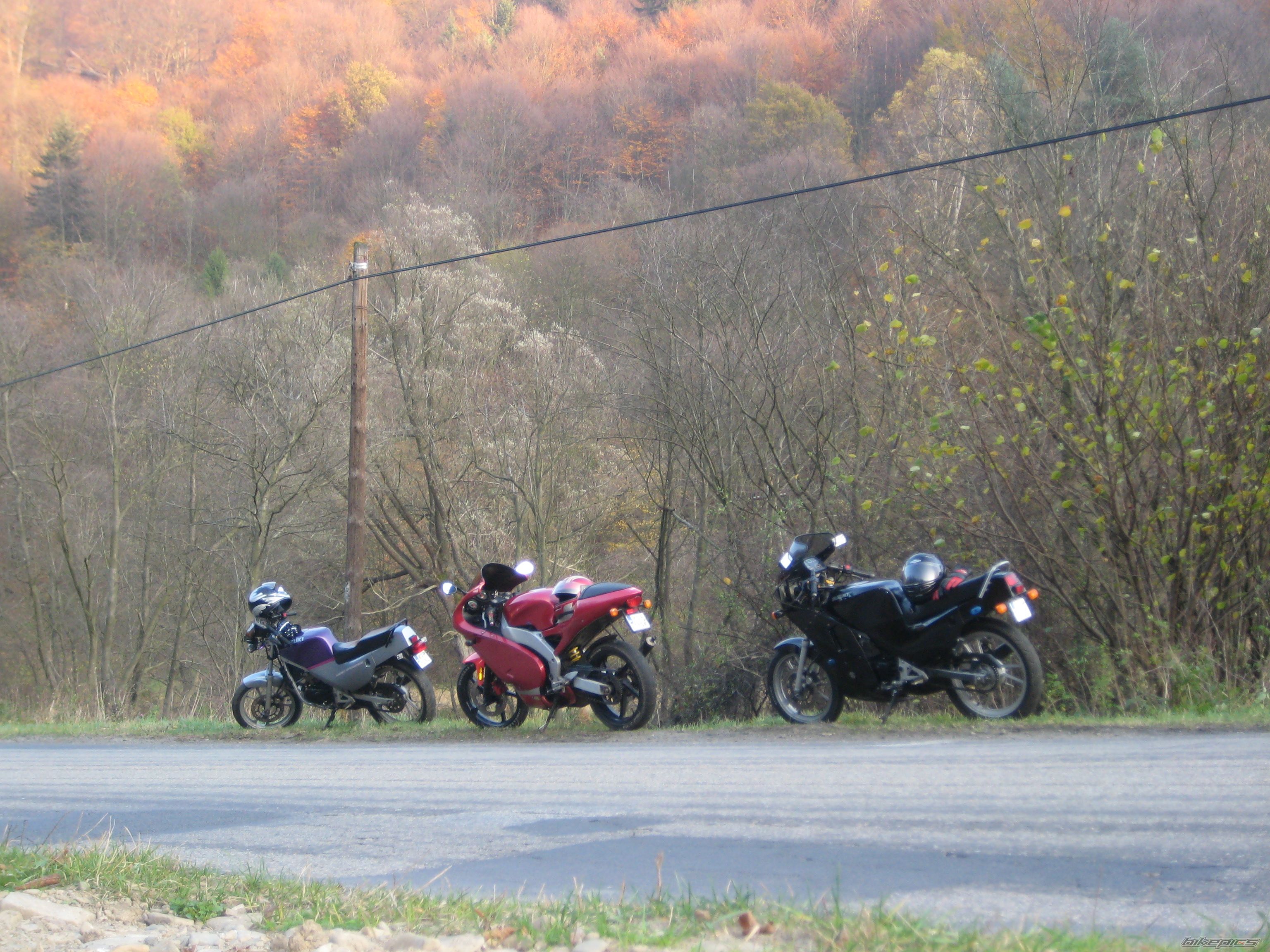Photo 1462225