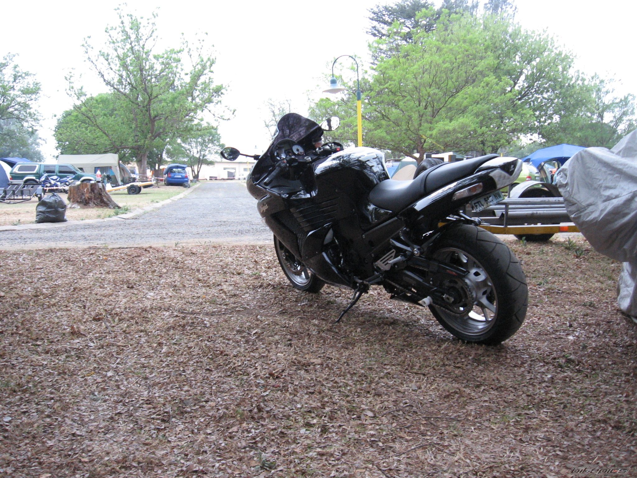 Photo 1462298