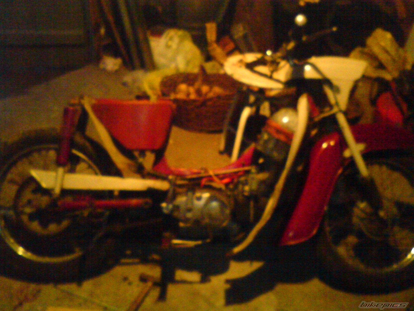 Photo 1462320