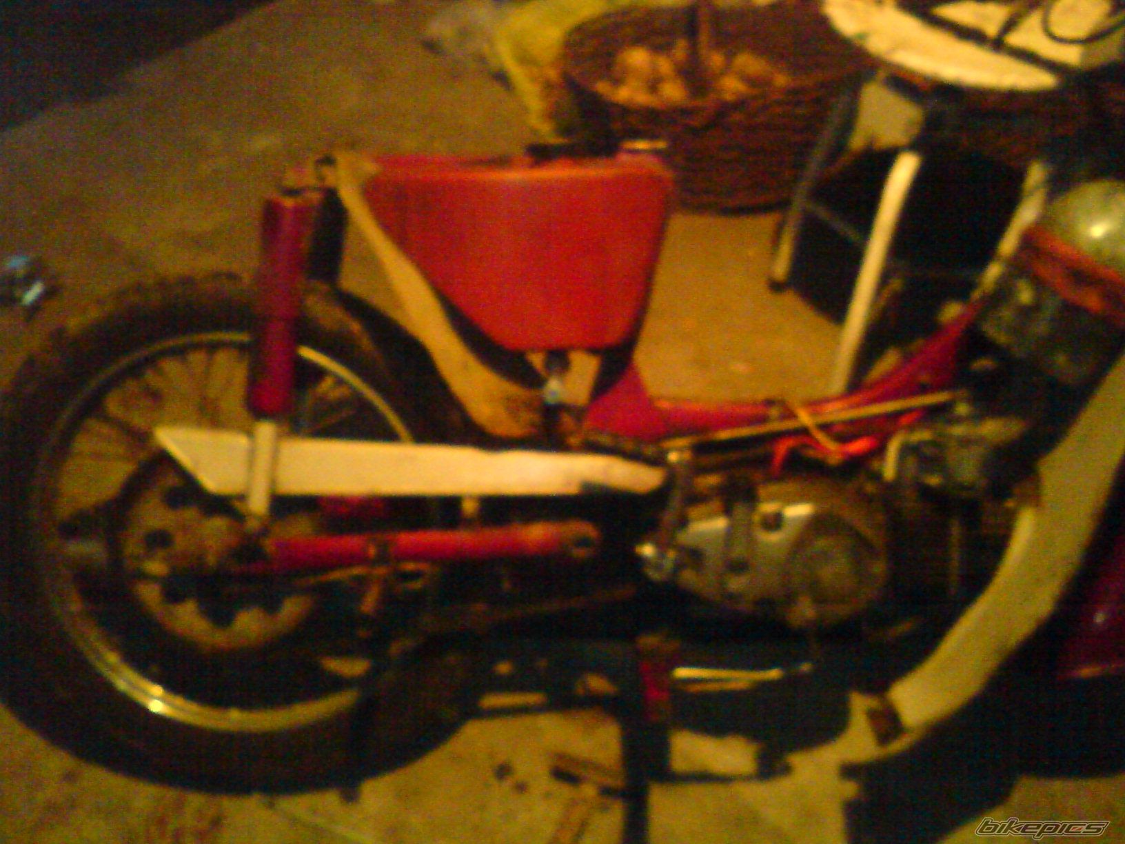 Photo 1462328
