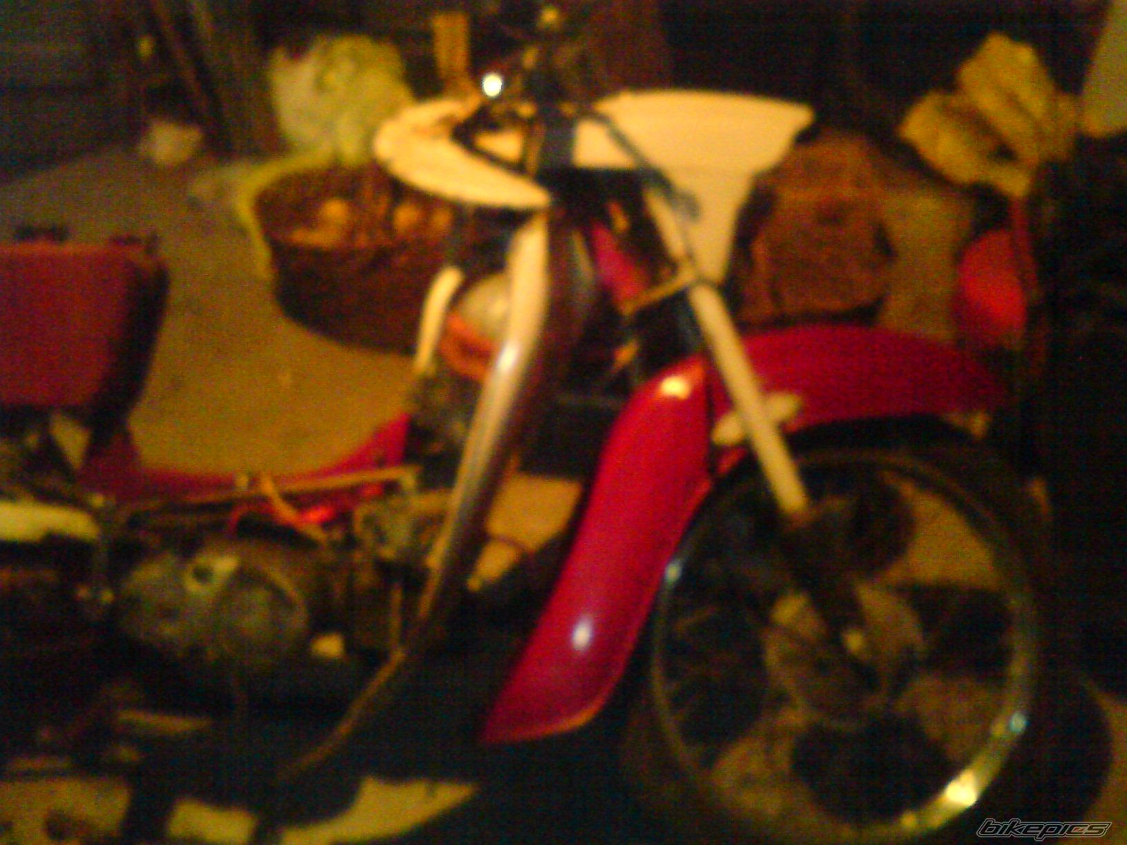 Photo 1462329