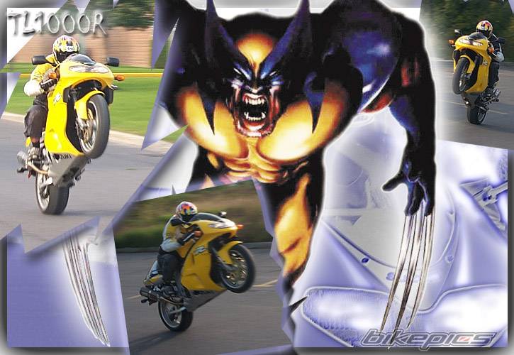 Photo 146237