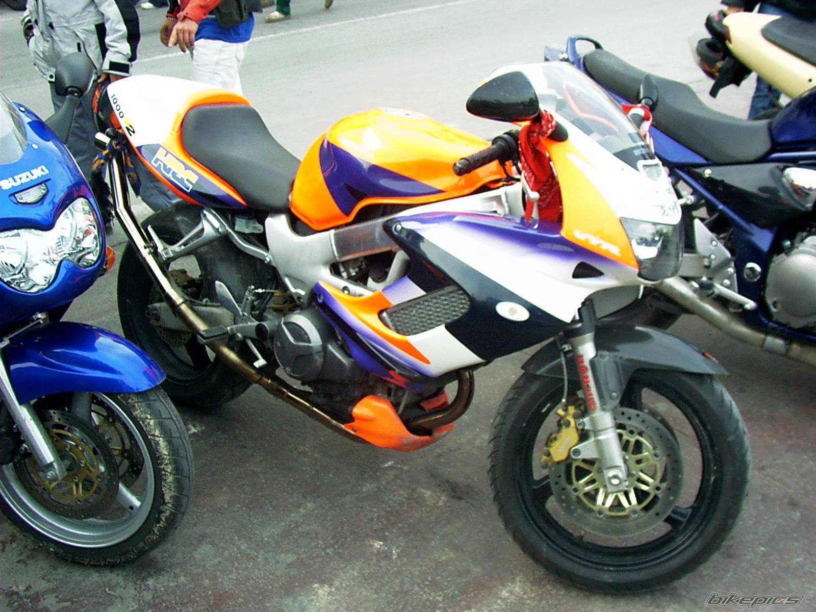 Photo 146238
