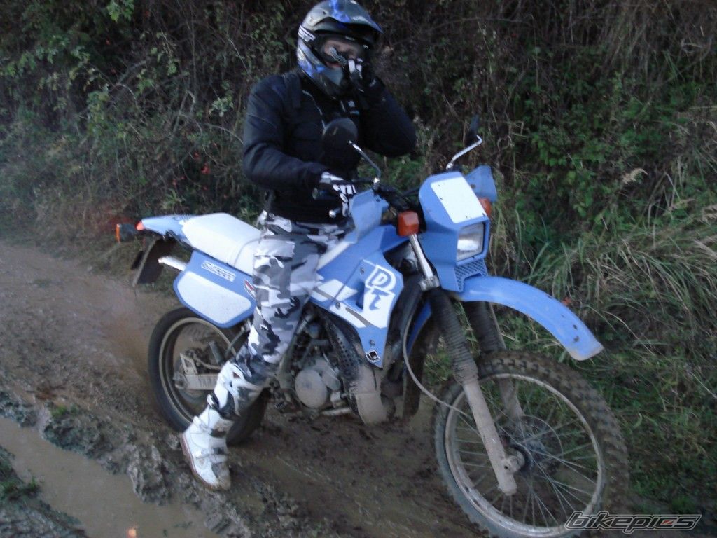 Photo 1462386