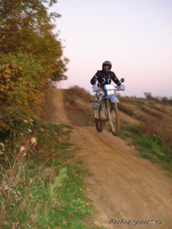 Photo 1462397