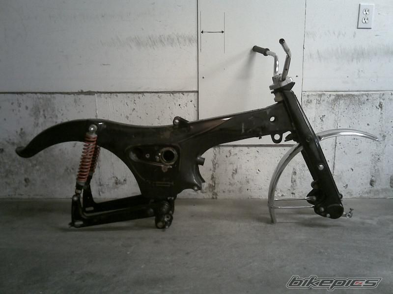 Photo 1462424