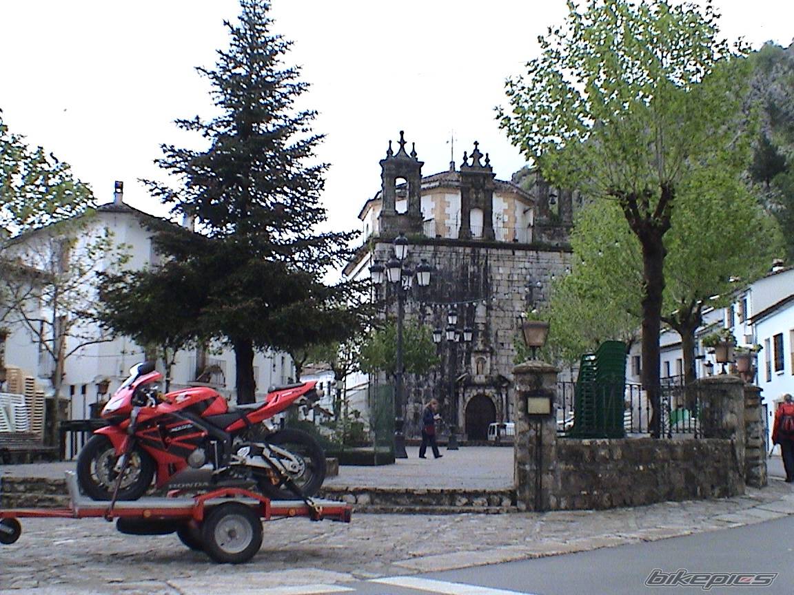 Photo 146245