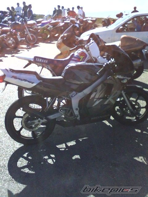 Photo 1462452