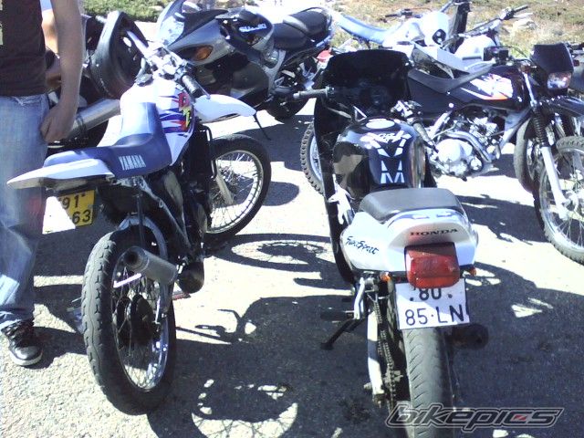 Photo 1462453