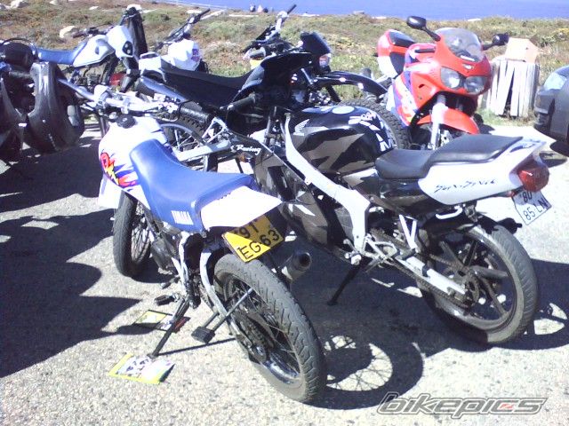 Photo 1462454