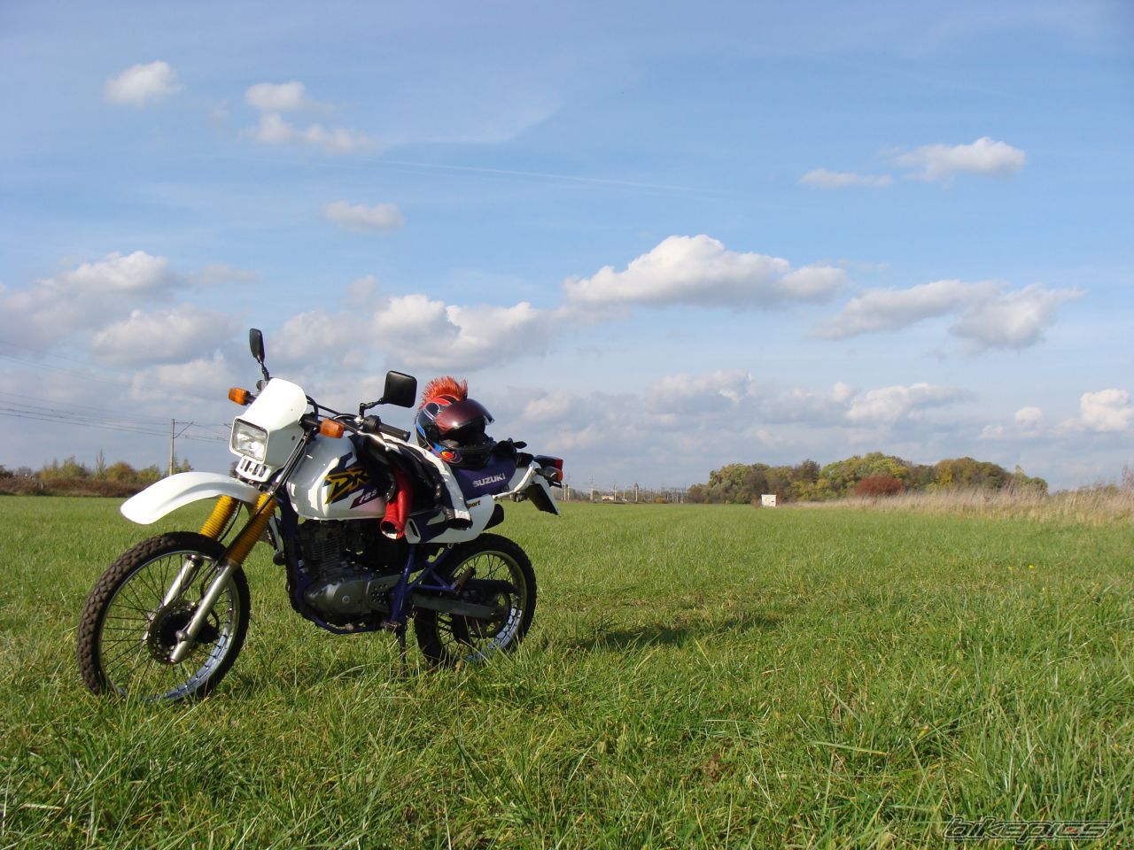 Photo 1462458