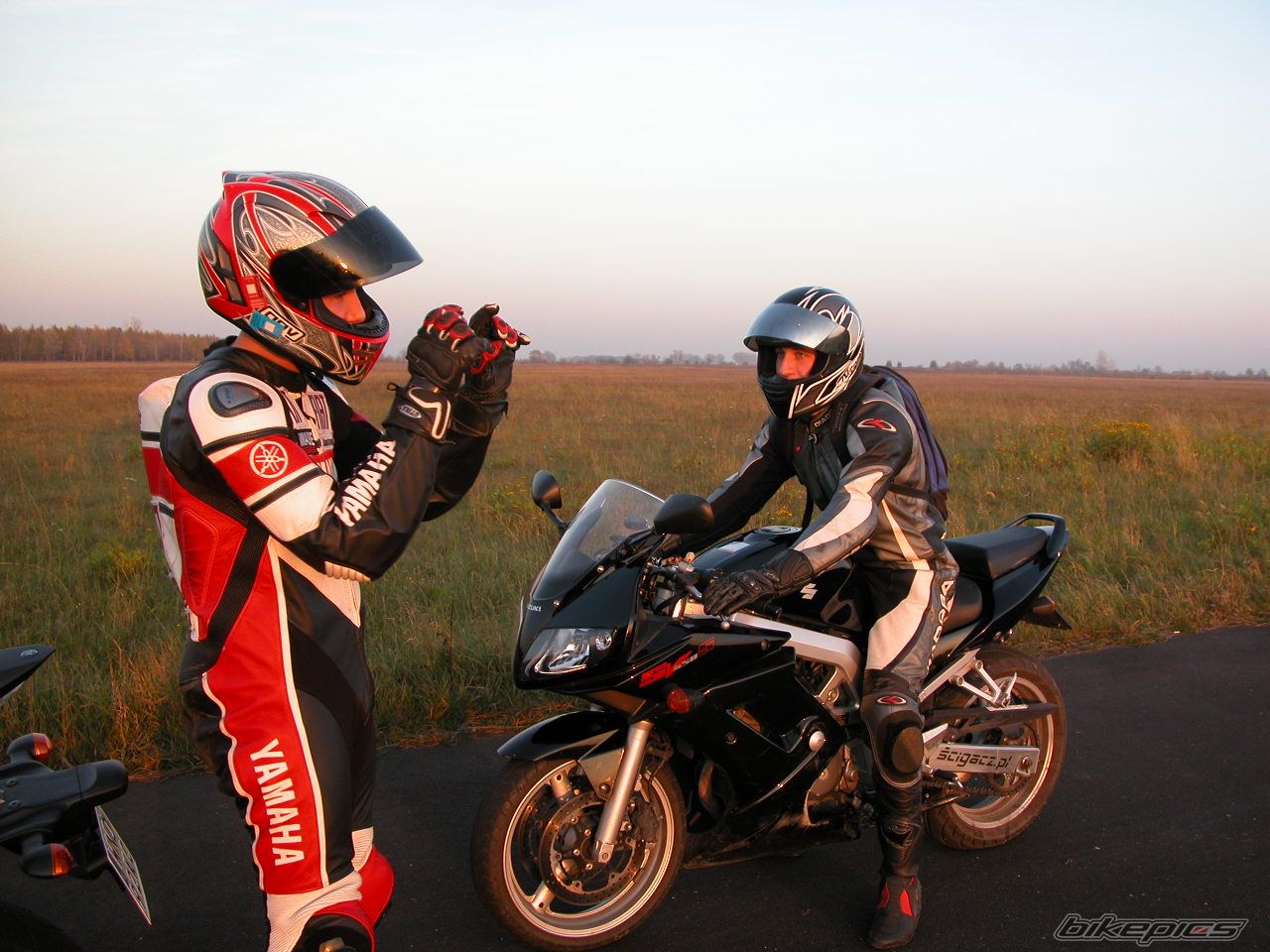 Photo 1462462