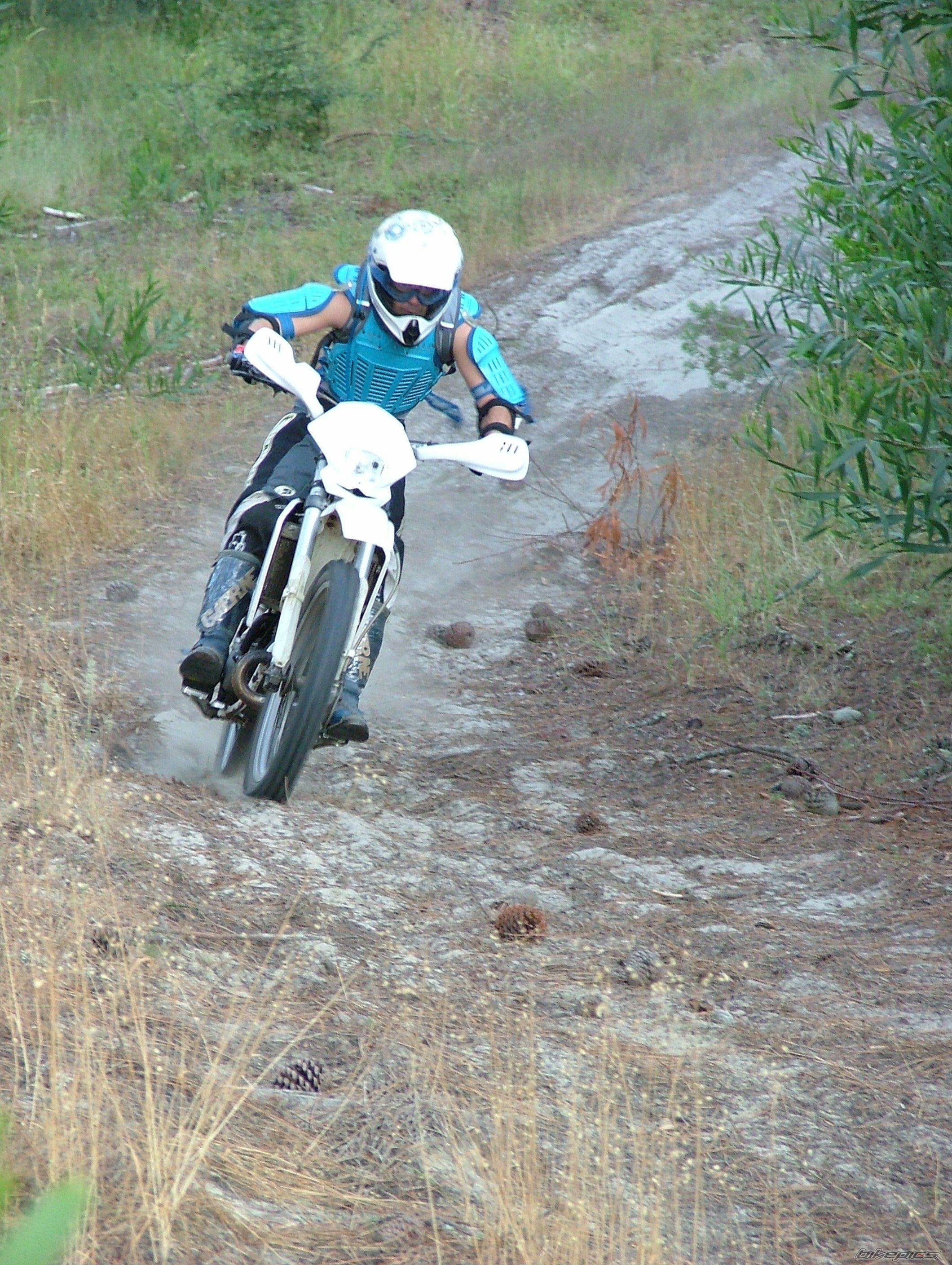 Photo 1462464