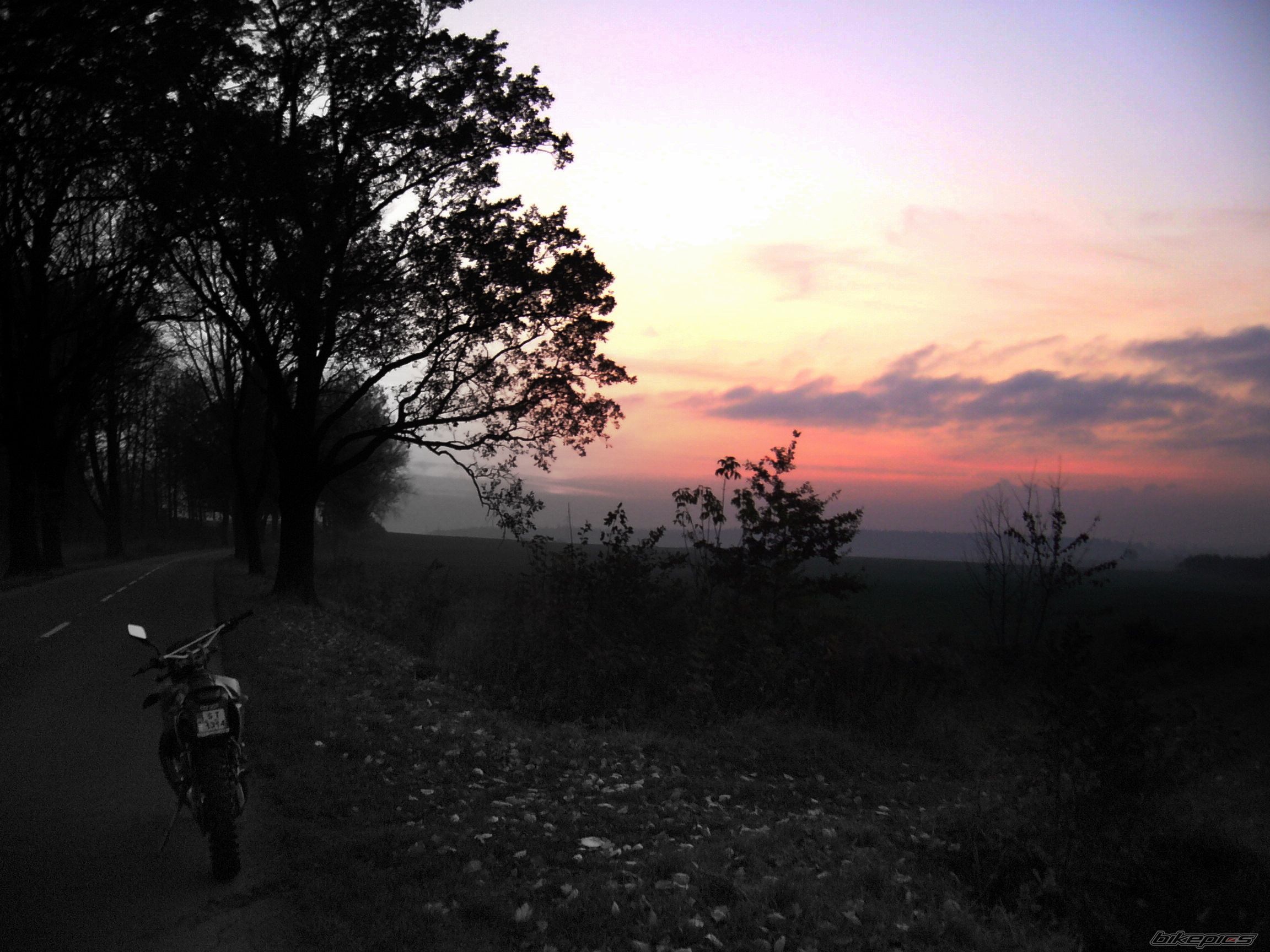 Photo 1462484