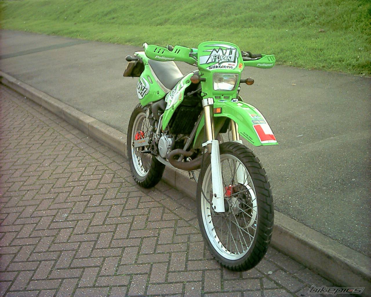 Photo 146251
