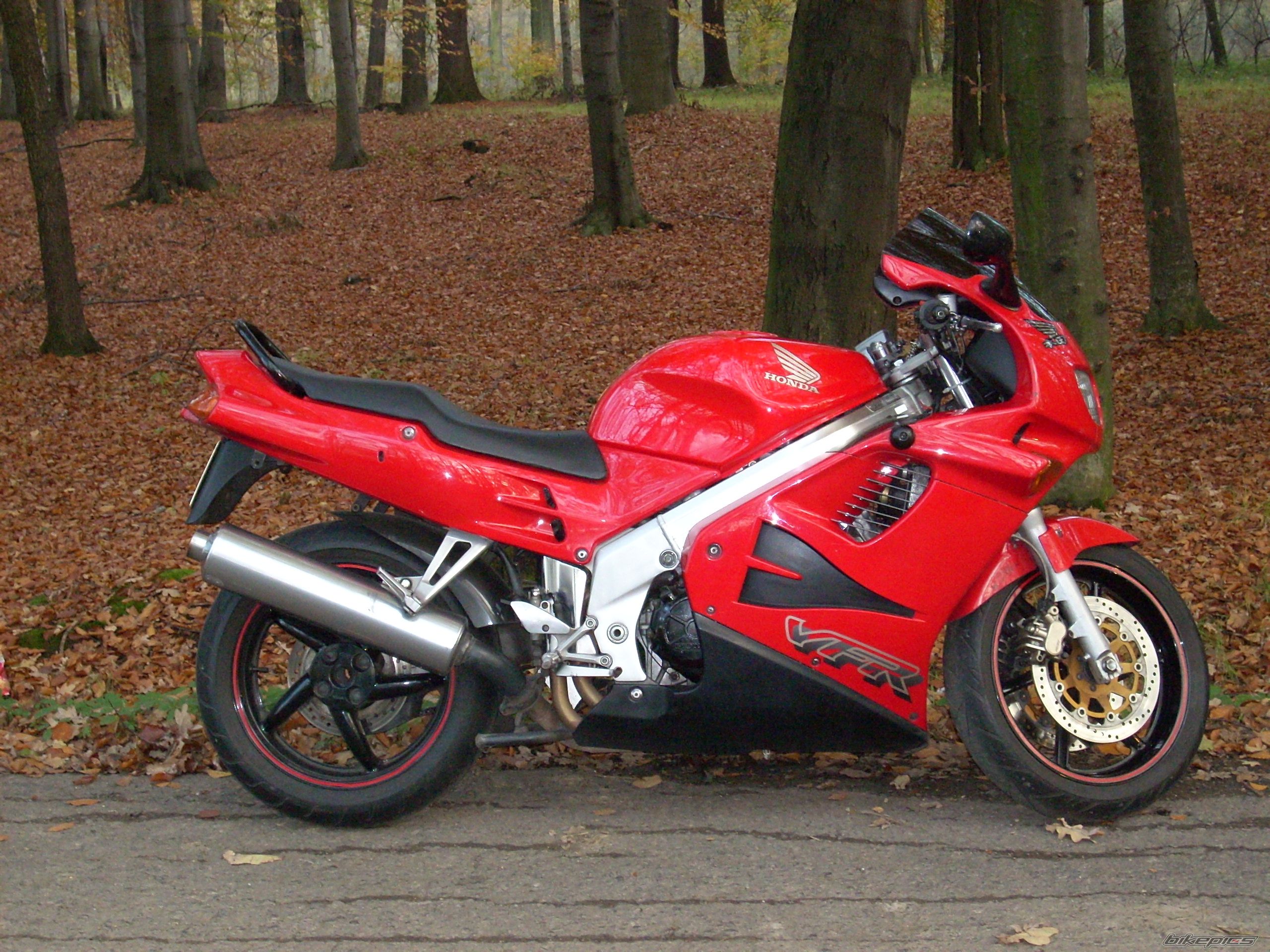 Photo 1462537