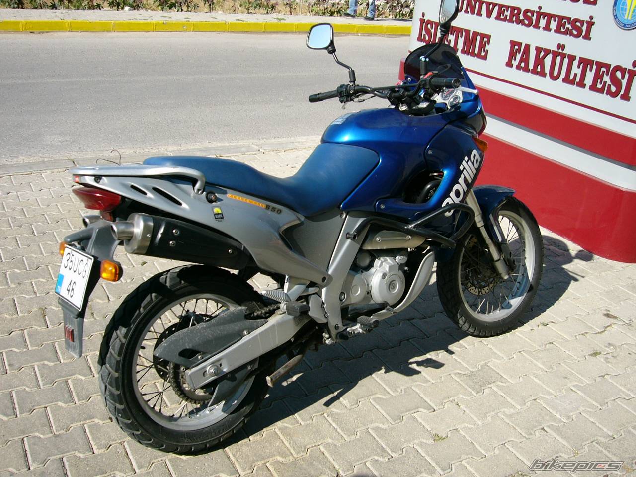 Photo 146254