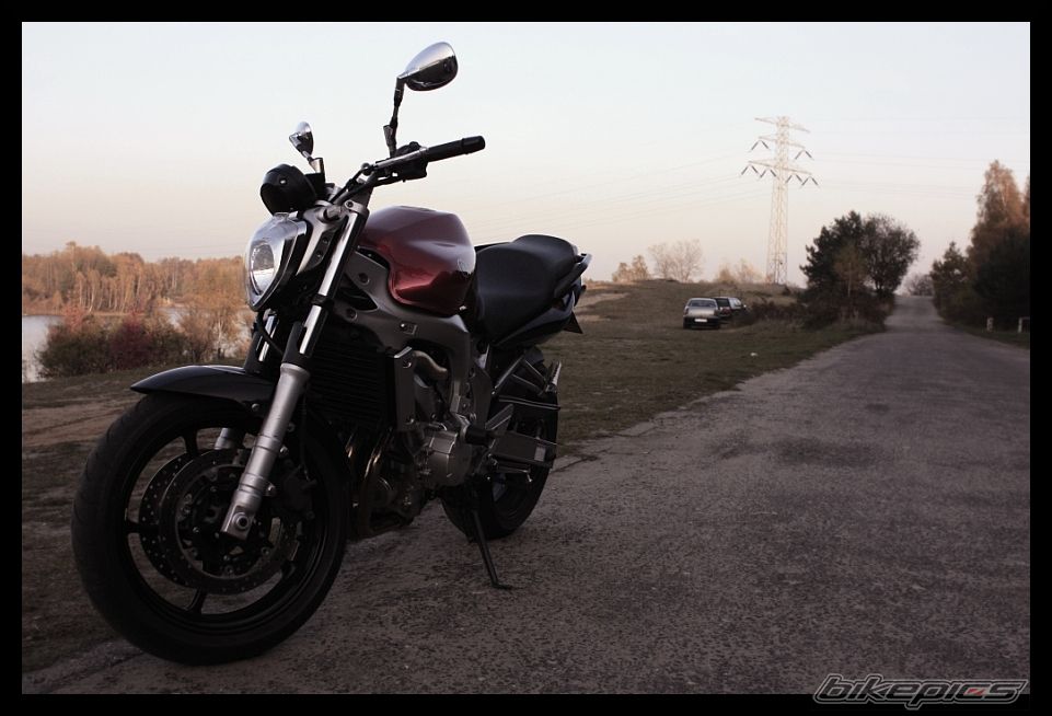 Photo 1462540