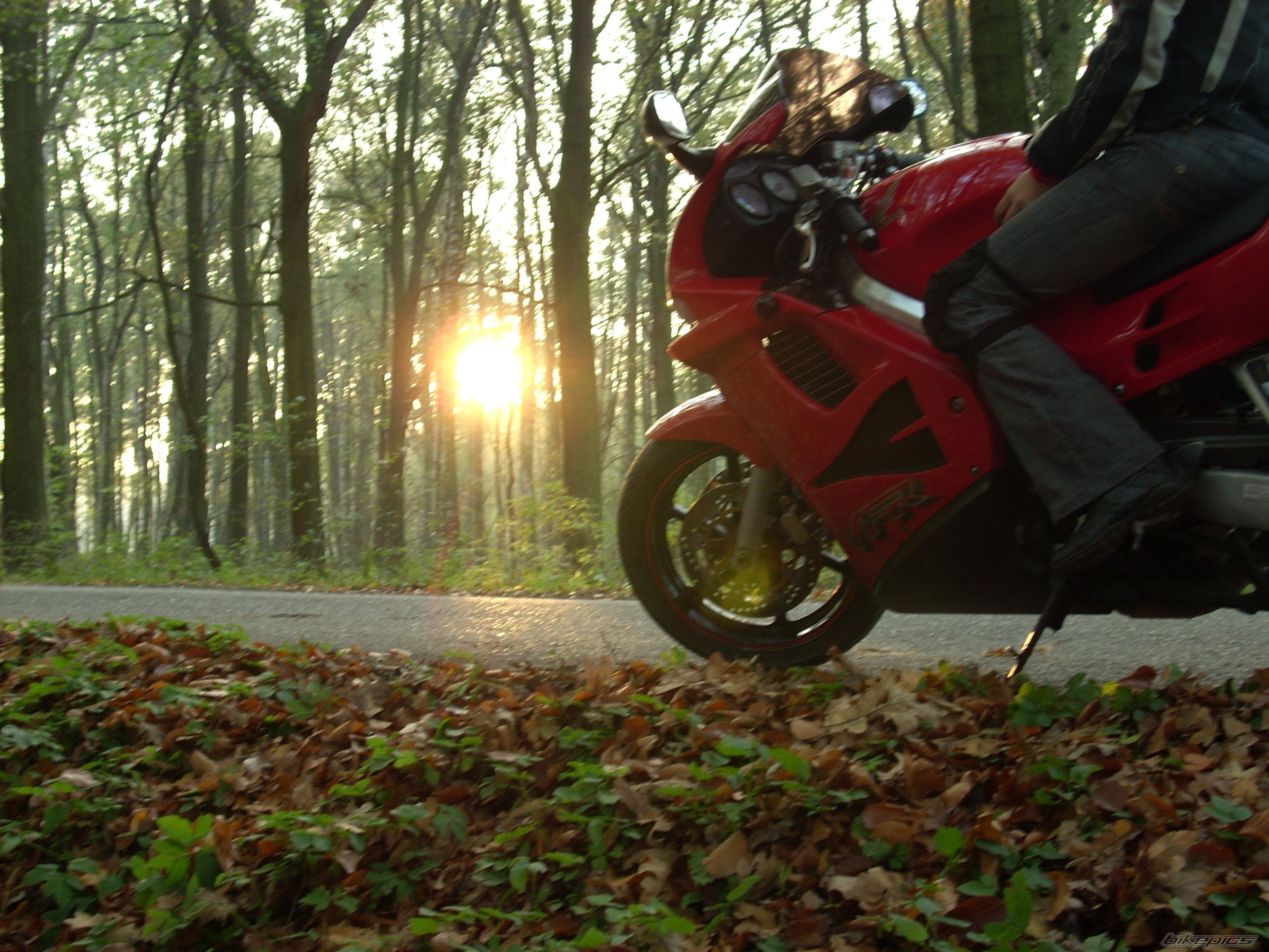 Bike Photo 1462541