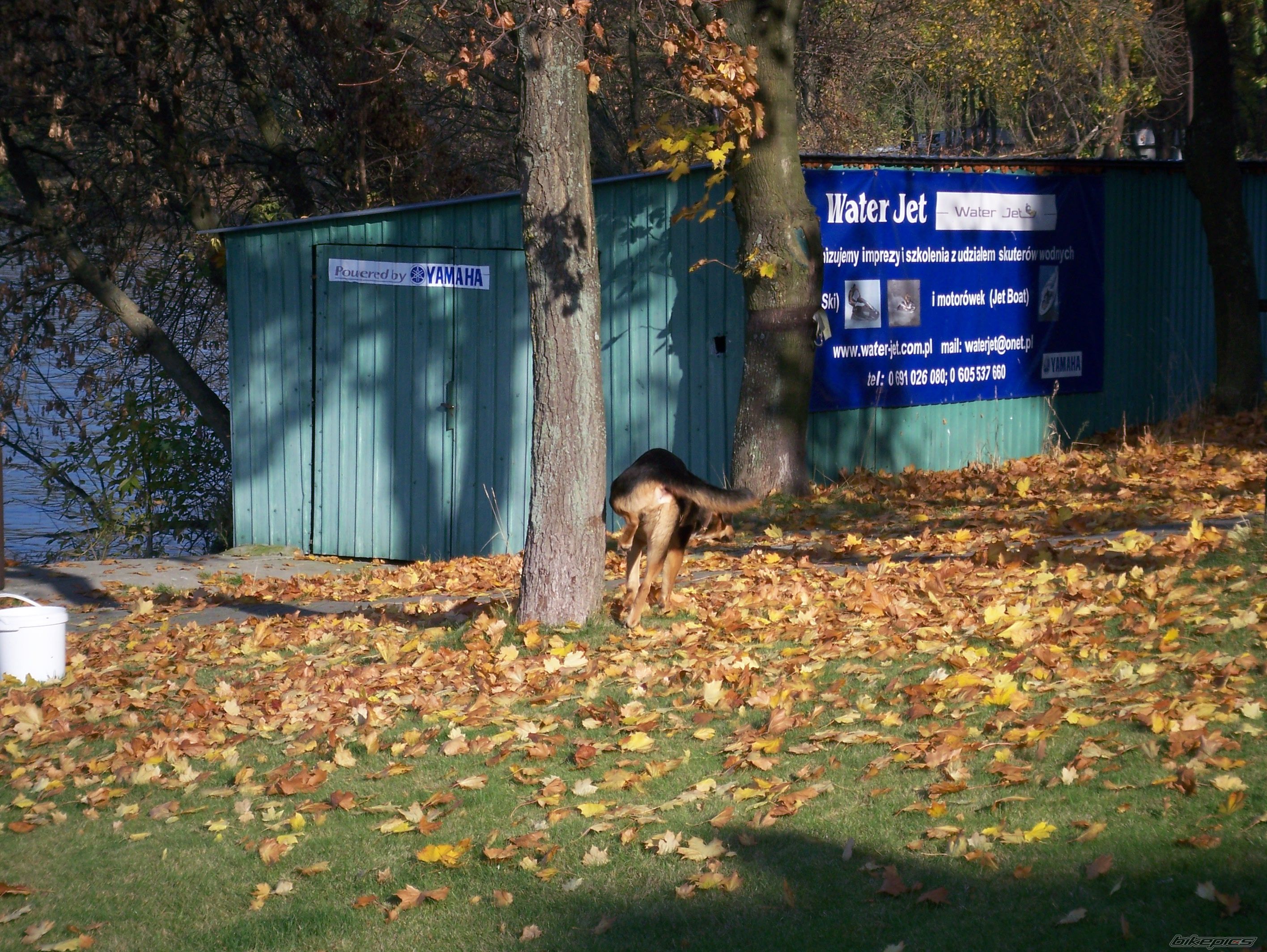 Photo 1462545