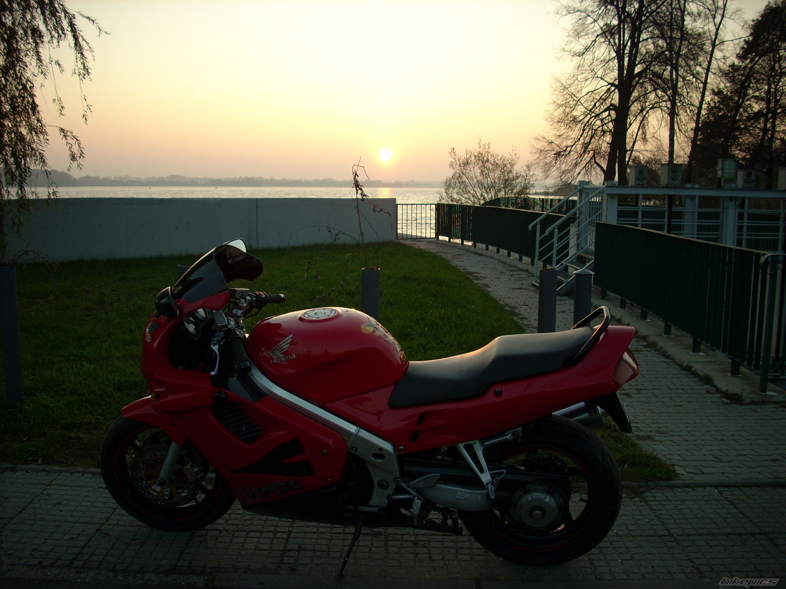 Photo 1462550