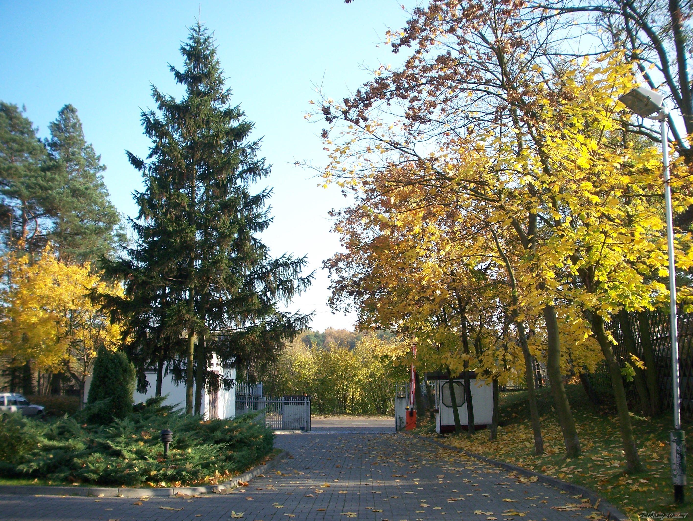 Photo 1462563