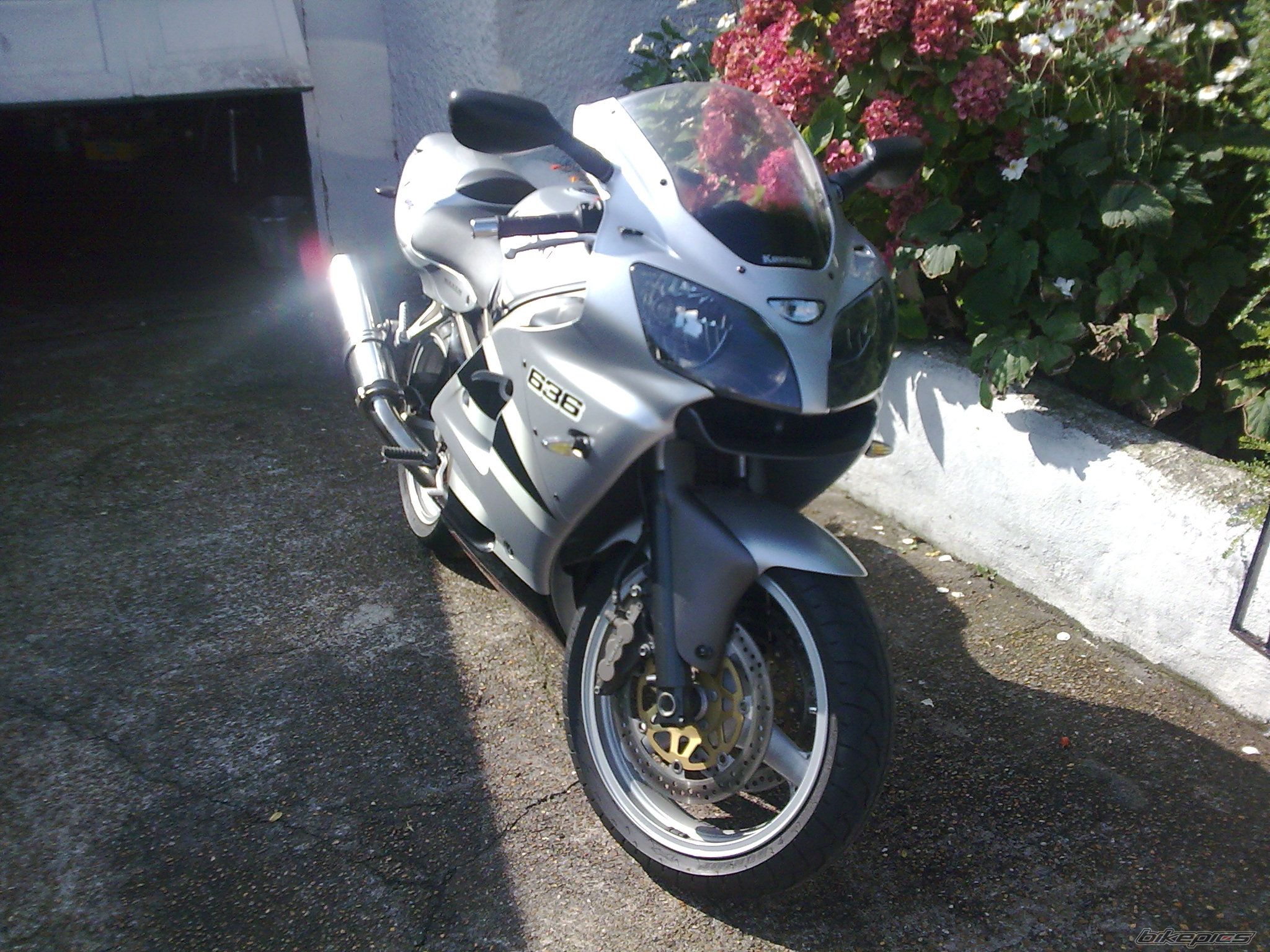 Photo 1462661