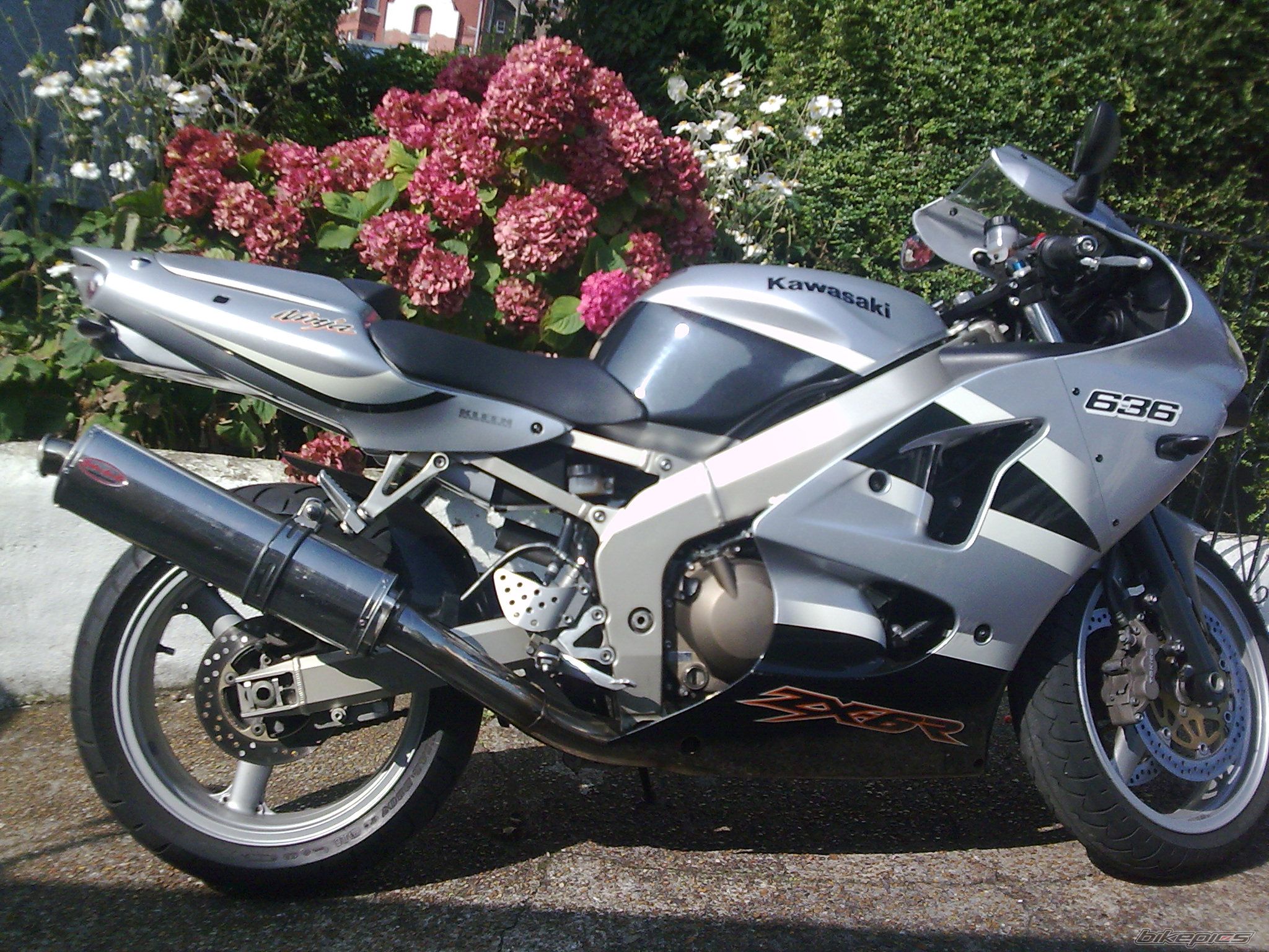 Photo 1462667