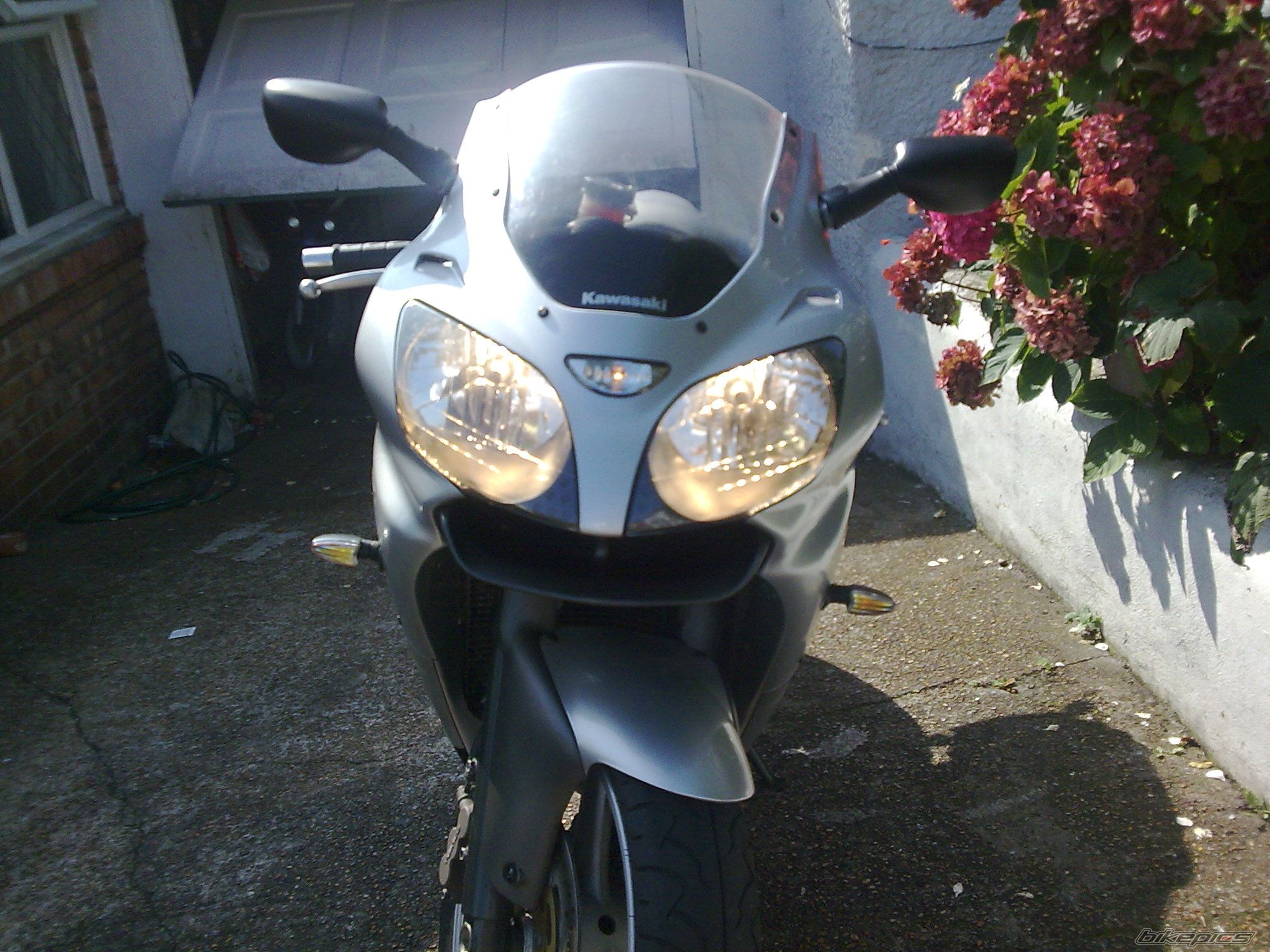 Photo 1462683