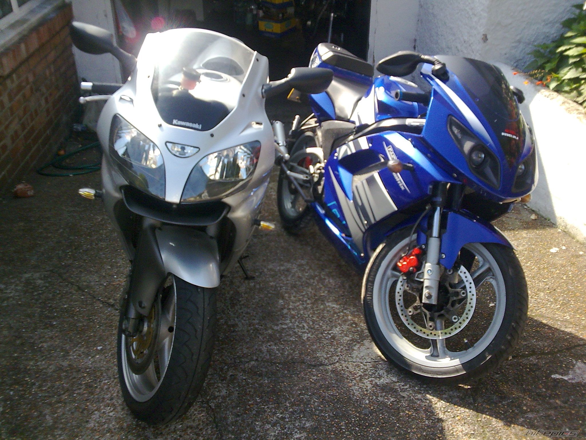 Photo 1462684