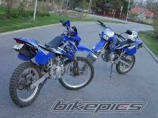 Photo 146271