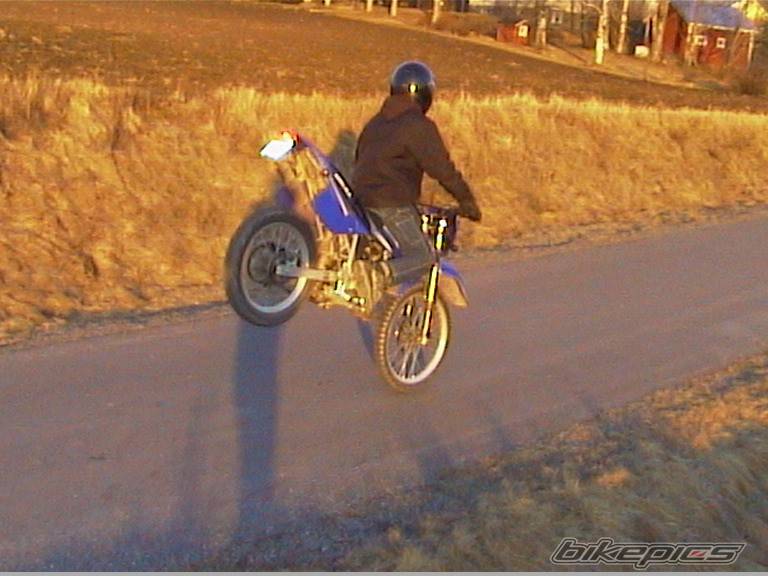 Photo 146272