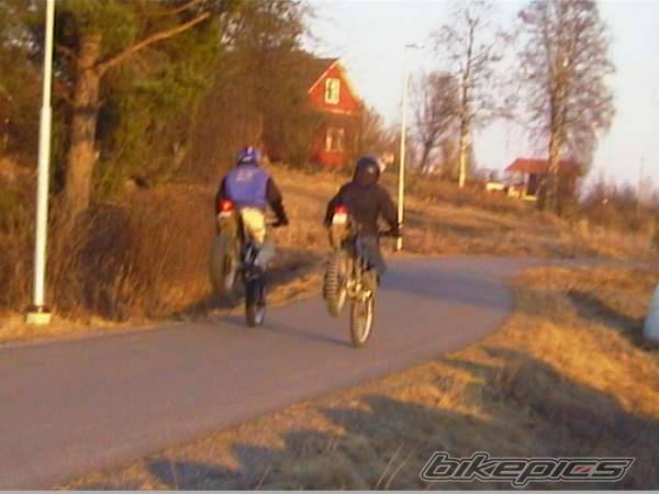 Photo 146273
