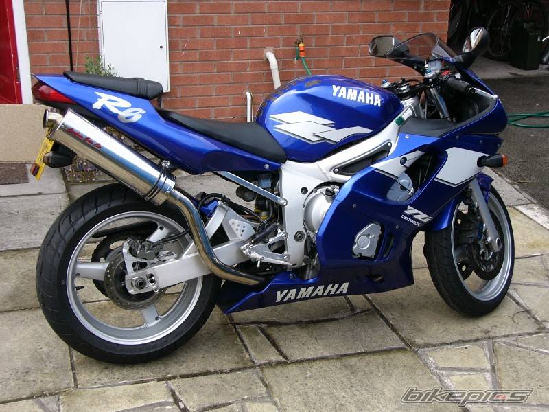 Photo 146275